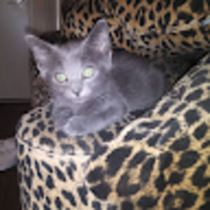 Meet your Posher, Jenna